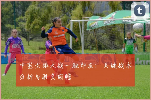 中塞女排大战一触即发：关键战术分析与胜负前瞻