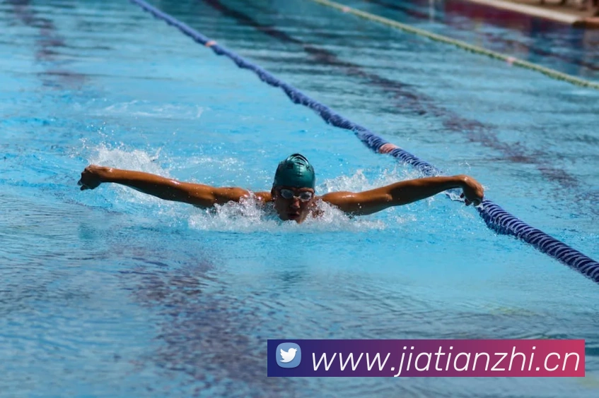 九游j9官网网页版入口品牌故事